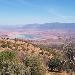 ...ja wo isser denn?