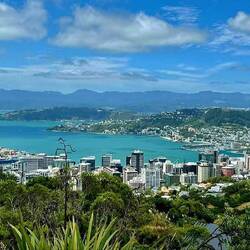 City of Wellington