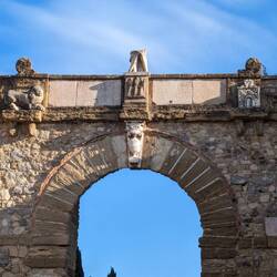 Lion, Lilies and castlr