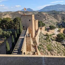 The view from the tower