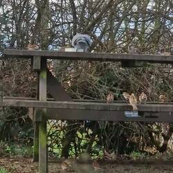 View from the sidehatch