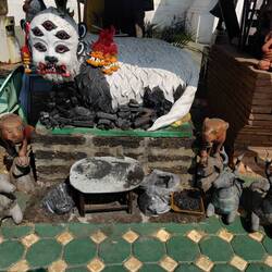 Belle tête de gagnant