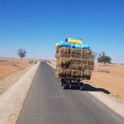 ...leicht überladenes Pferdefuhrwerk