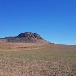 ...erneuter Wandel zu zartem Grün