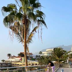 Die Putzfrau reinigt die Scheiben an der Uferpromenade, minutenlang und äusserst konzentriert!