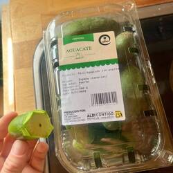 Mini- Avocados ohne Kern