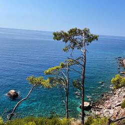 Schaut euch das Blau an