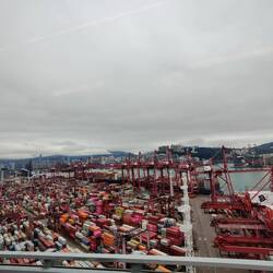 Petit port sans prétention