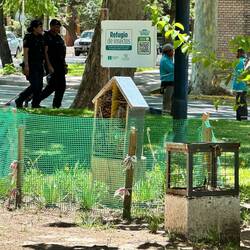 Insektenheim im Park