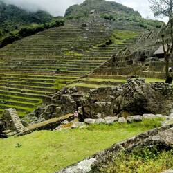 Terrassen für den Anbau von Kartoffeln, Mais und Koka