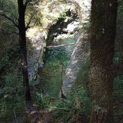 natural hard accessible bridge