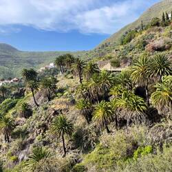 Auf unserer Wanderung von El Palmar nach Masca