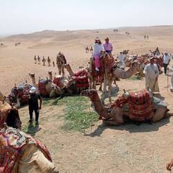 Went for a camel ride, great young guide, we taught him the haka!
