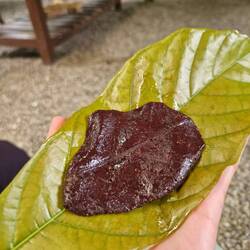 Blitz-Schokolade. Erinnert an Kuchen.