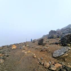 Es wird wieder etwas schöner.