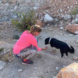 Begeleitet immer wieder von Hunden - auch von diesem Drecksspatz