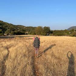 Und immer wieder wechselt die Landschaft