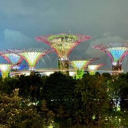 Supertree Grove, Gardens by the Bay
