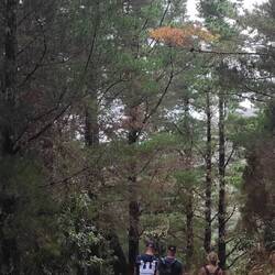 On our way back in the valley - new climate zone