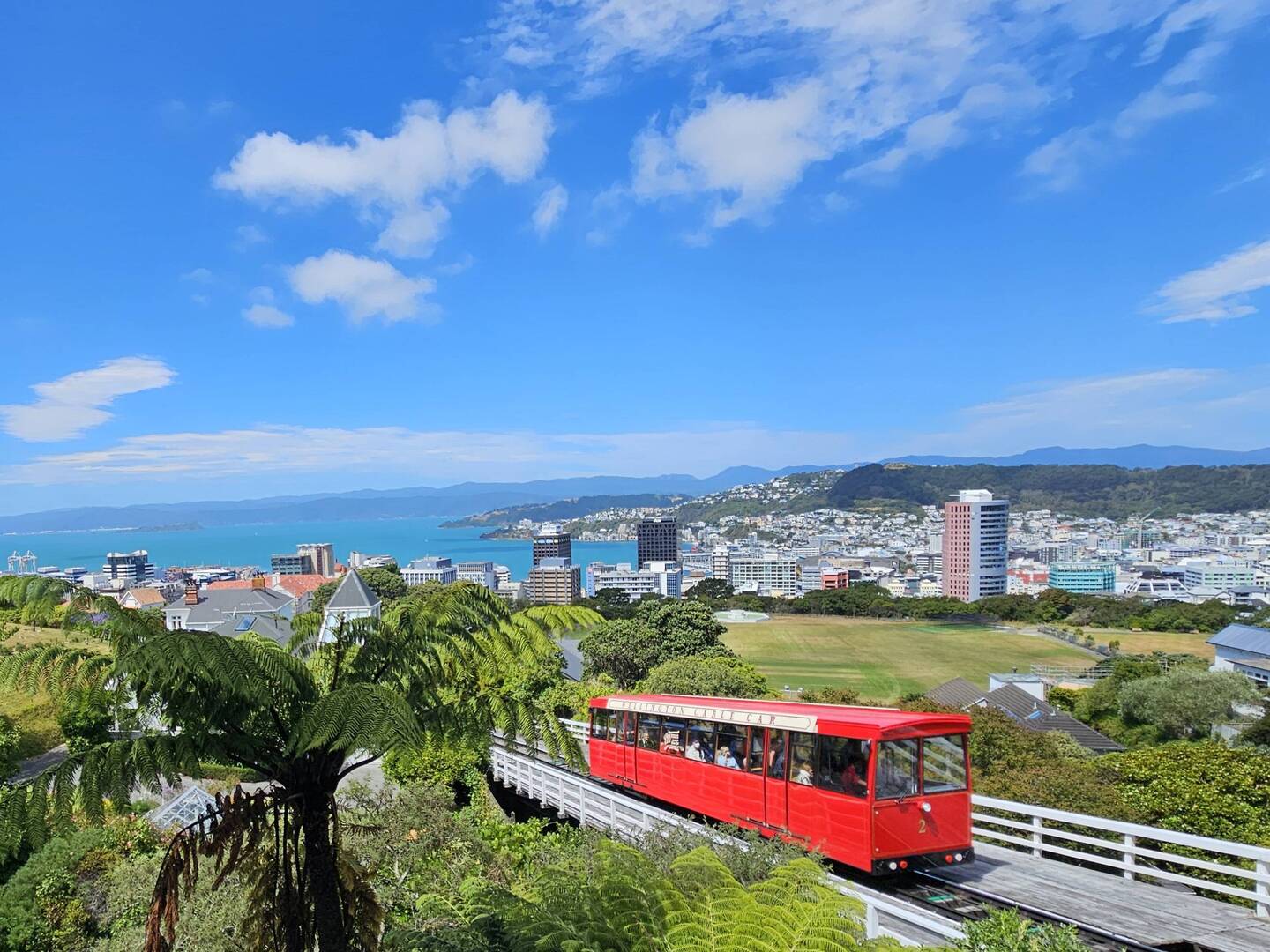View of Wellington with cable car in foreground.