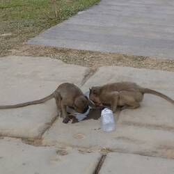 Hab meine Wasserflasche "geopfert"