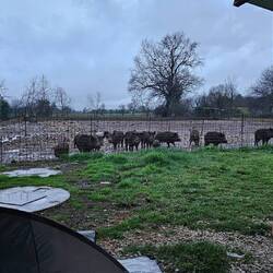 Nous serons bien protégés cette nuit
