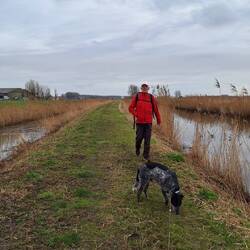 Mutterseelen allein!