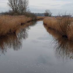 Der Leopoldkanaal mit scharfer Kurve..