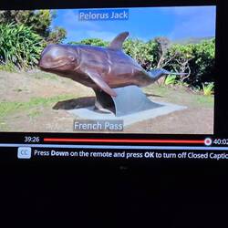 Statue of Pelorus Jack