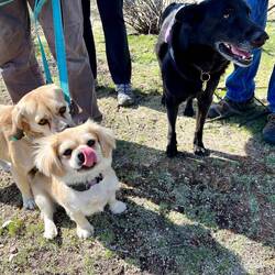 Pearl, Minnie, Maggie