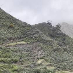 Dieses Video gehört zum nächsten Tag, 10.2. Wir sind im Anaga-Gebirge.