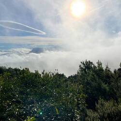 NOCH liegt der Teide im Nebel.