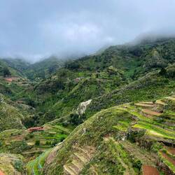 Überall wird Gemüse oder Wein (Reben natürlich) angebaut.