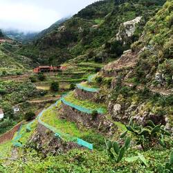 Wir schaffen es bis ganz hinten links, dort, wo der Nebel hängenbleibt.
