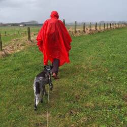 Ganz zum Schluß gab's noch etwas Regen!