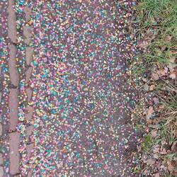 Nur das erinnert an den gestrigen Karnevals Umzug!