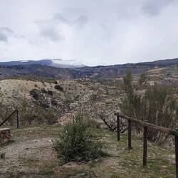 ...aber nur ganz weit oben