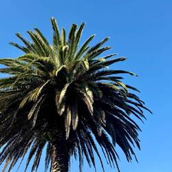 Tahunanui Beach
