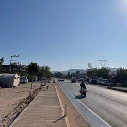 Hier ist ein Esel ausgebrochen und steht mitten auf der Straße