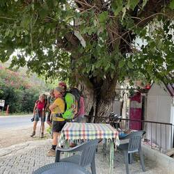 Andere Wanderer treffen wir nicht oft auf dem Weg