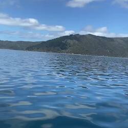 Statt trampen heute Motorboot