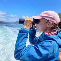 Auf der Suche nach Seevögeln