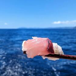 Fresh sushi for lunch