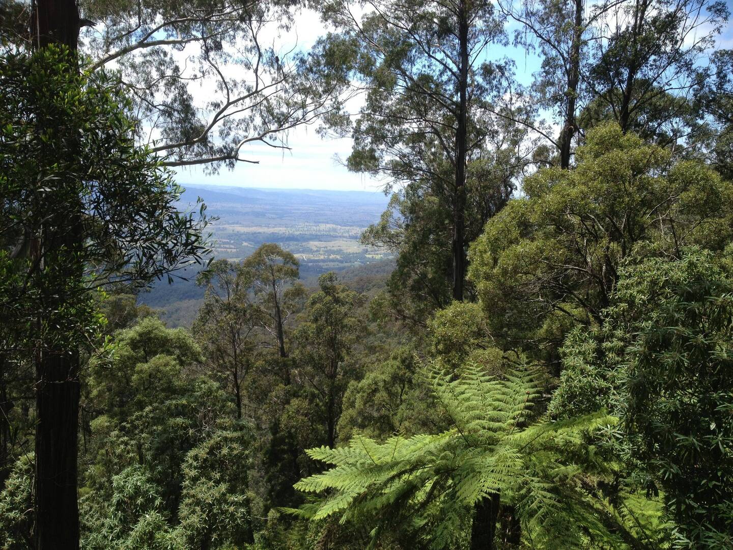 Brown Mountain enroute Merimbula to Canberra