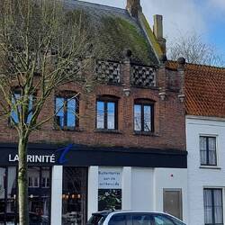 Der sitzt ohne Scheu mitten in der Stadt!