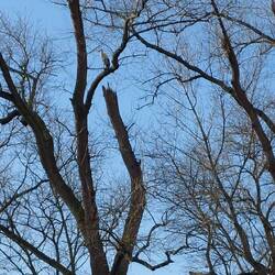 Wer findet den nächsten Storch?