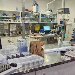 Lab and surgery facility