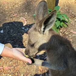 This one held my hand❤️