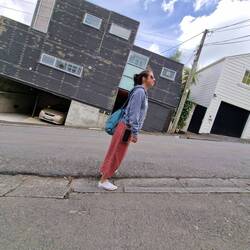 Steile Strasse zum Mount Victoria hoch.