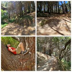 Drehorte von Herr der Ringe